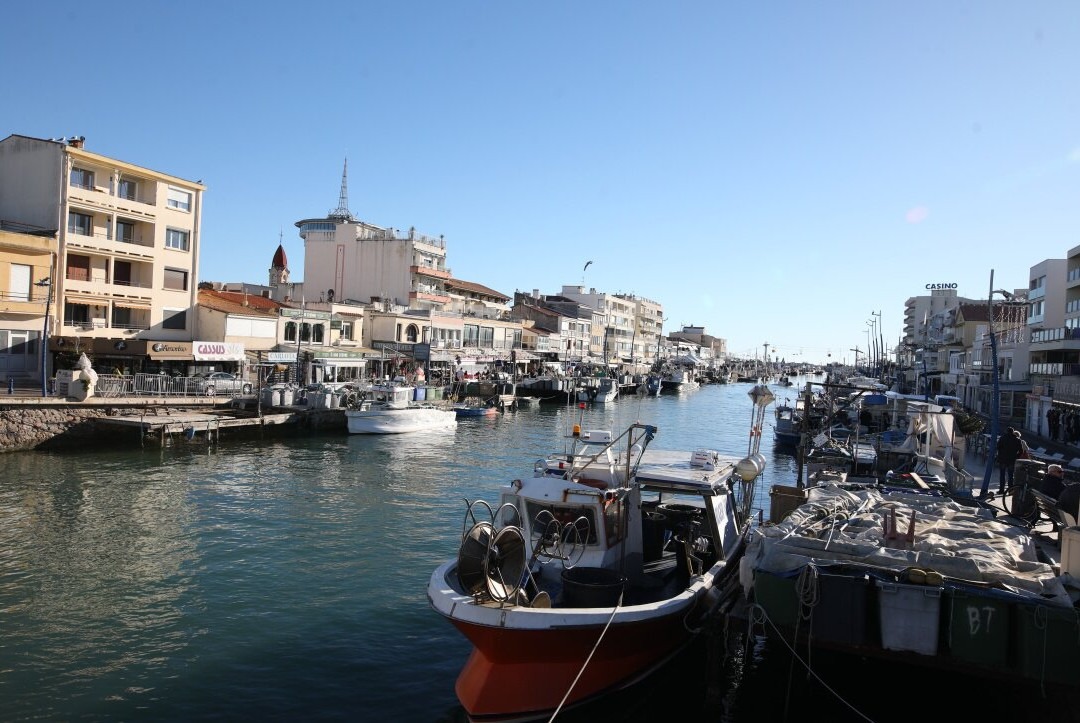 Port de Palavas-les-Flots-帕拉瓦莱弗洛必去景点