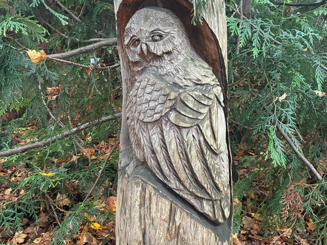 Botanical Garden-奥斯陆必去景点