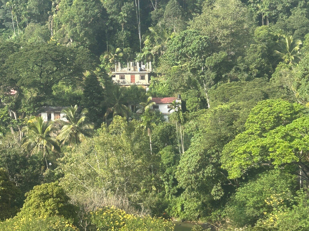 Big Brother Tours And Travels-亚洪加拉必去景点