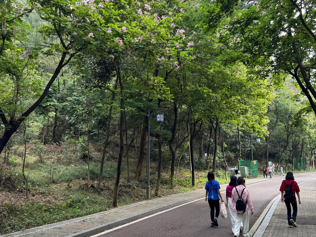 旗峰公园-东莞市必去景点