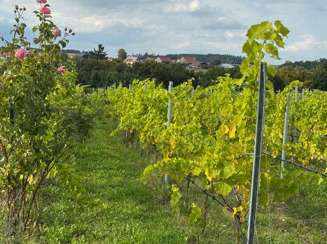 Bleimer Schloss Wein & Sekt-Greding必去景点