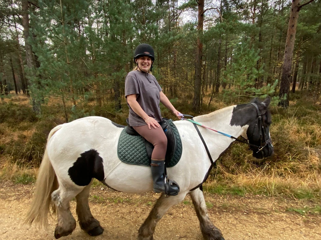Eastmoors Forest Rides-St Leonards必去景点