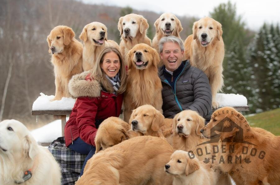 Golden Dog Farm-Jeffersonville必去景点