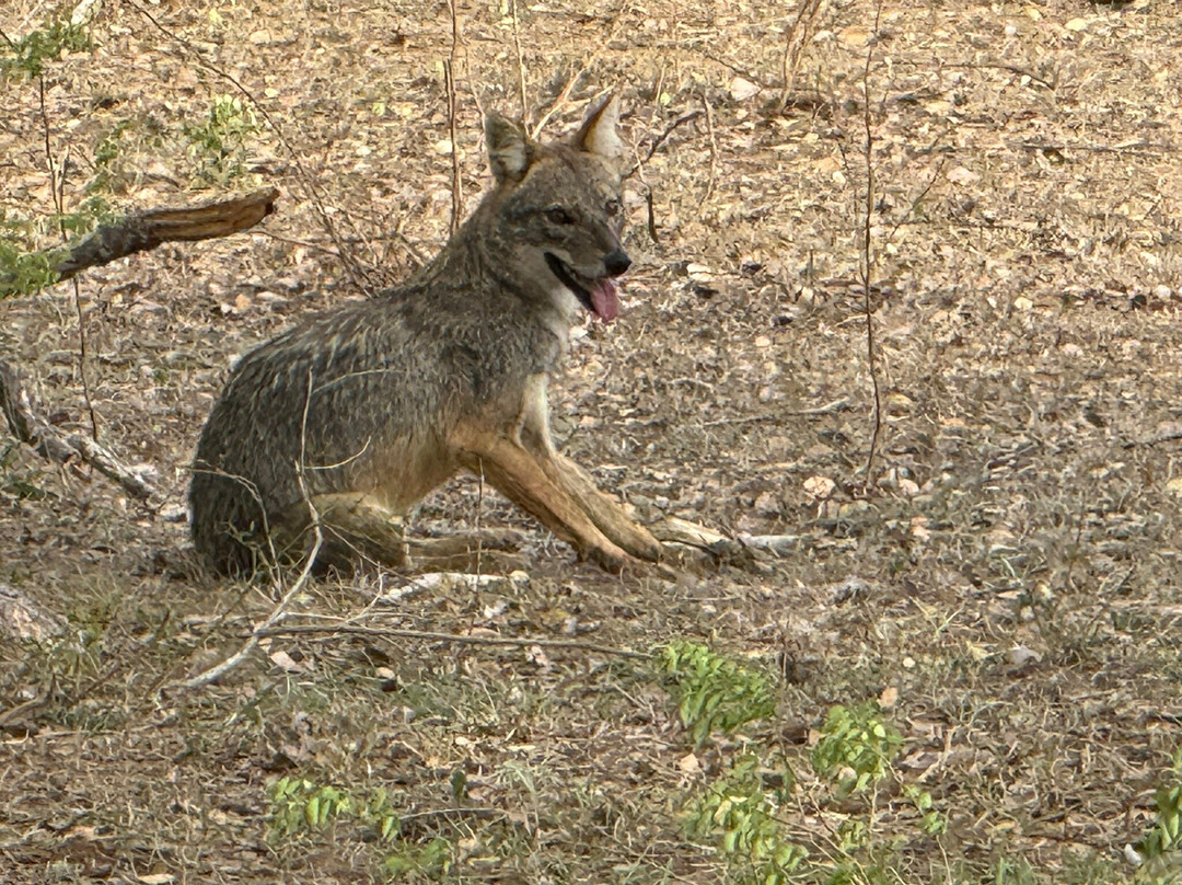 Lal Lanka Tours-Kaduwela必去景点