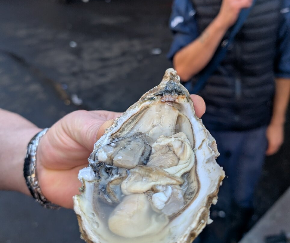 Via Etnea-卡塔尼亚必去景点