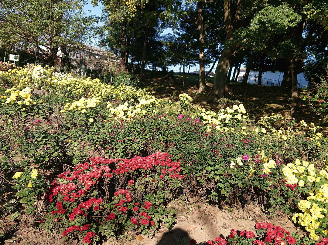 Shiroyama Park-桶川市必去景点