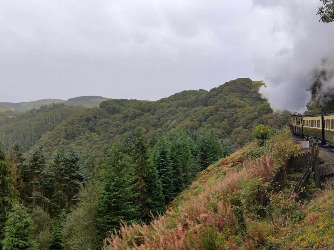 Vale of Rheidol Railway-阿伯里斯特威斯必去景点