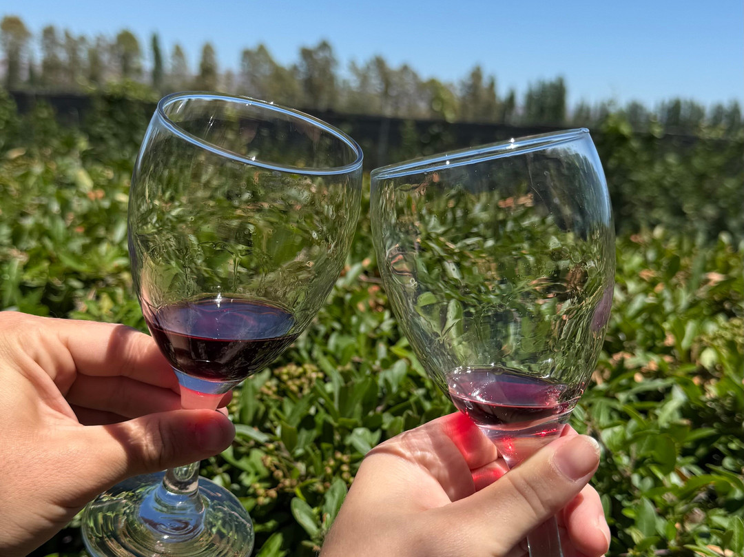 Bodega Labiano-圣拉斐尔必去景点