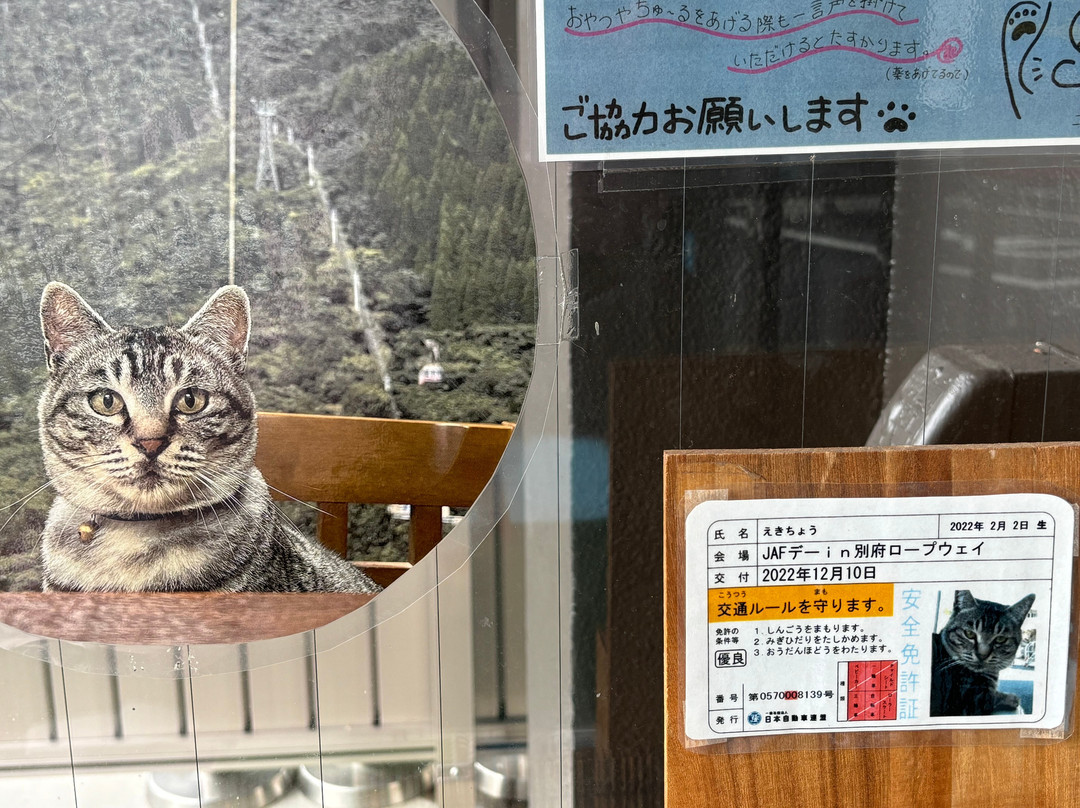 Beppu Ropeway-别府市必去景点