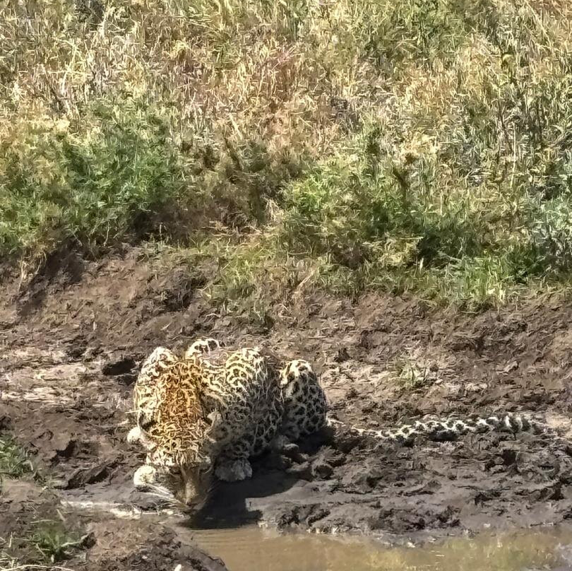 Kiliholidays Tours And Safaris-阿鲁沙必去景点