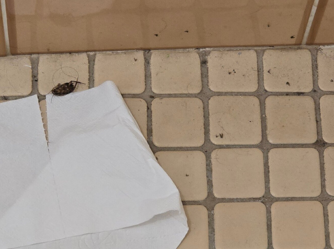 Merimbula Gardens Motel主图