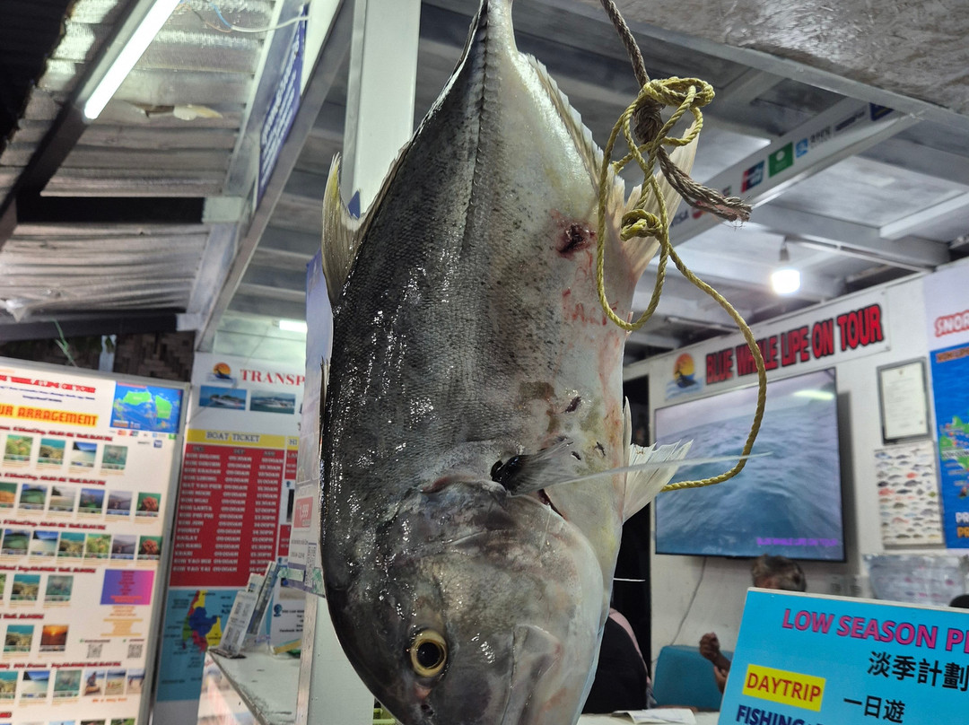 Koh Lipe Walking Street-丽贝岛必去景点
