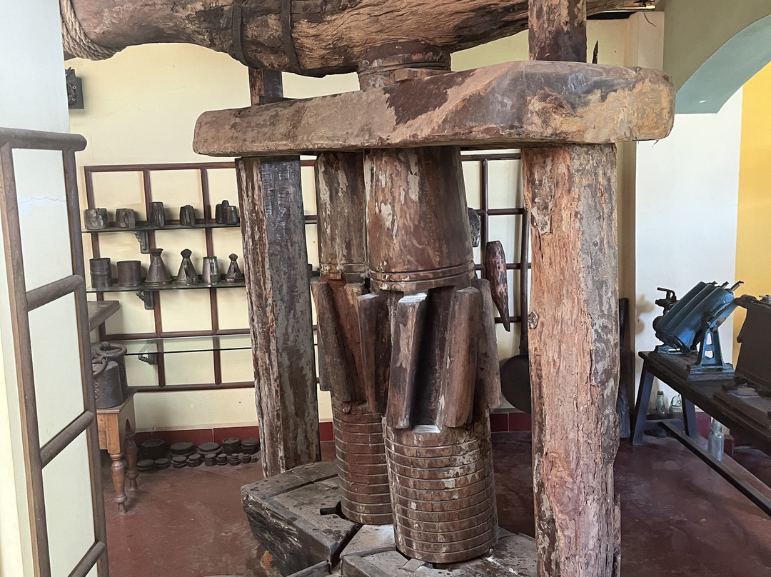 Goa Chitra Museum-萨尔塞特必去景点