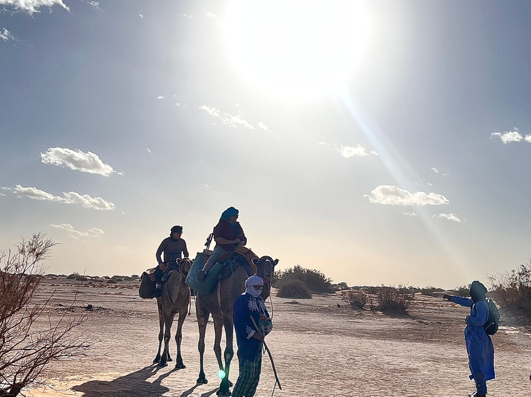 Caravane Renard du Desert-迈哈米德必去景点