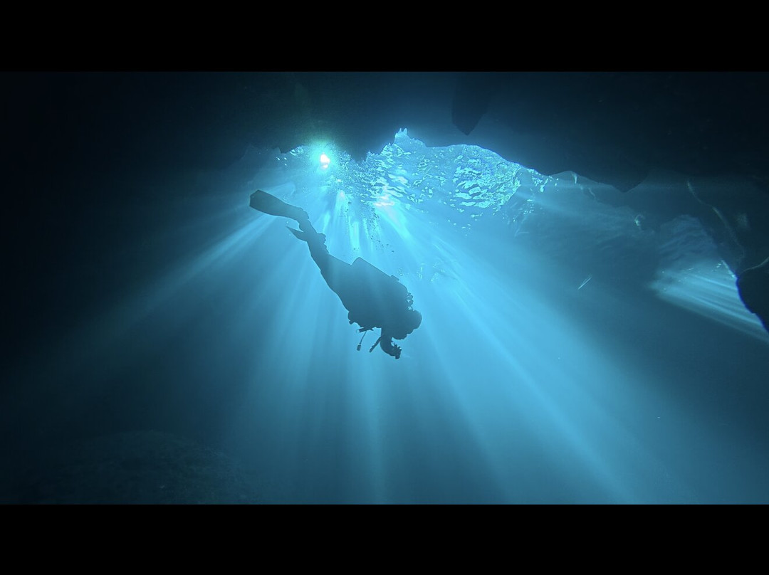 Diving Yucatan-梅里达必去景点