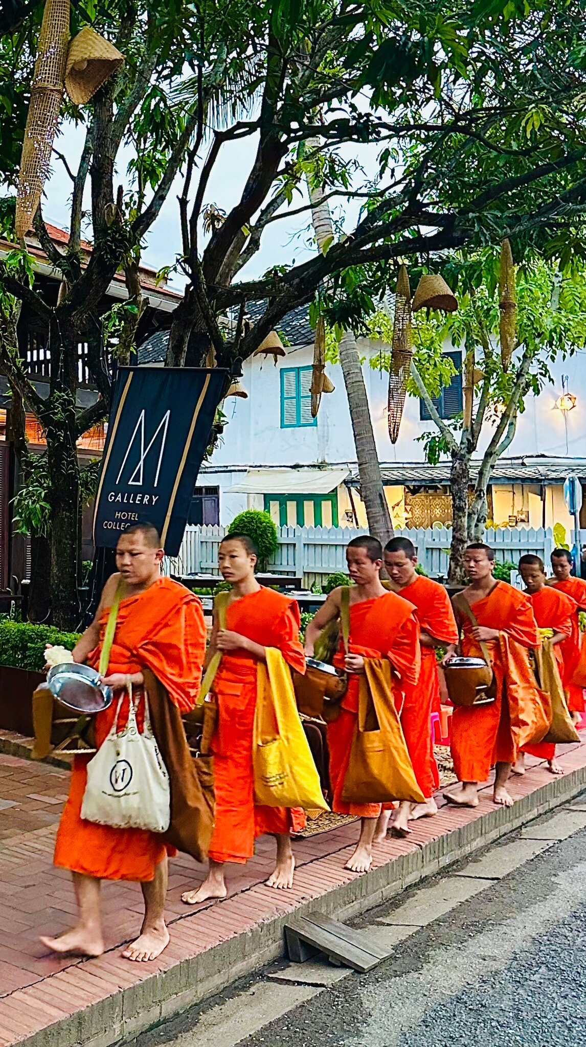 3龙族酒店-官方