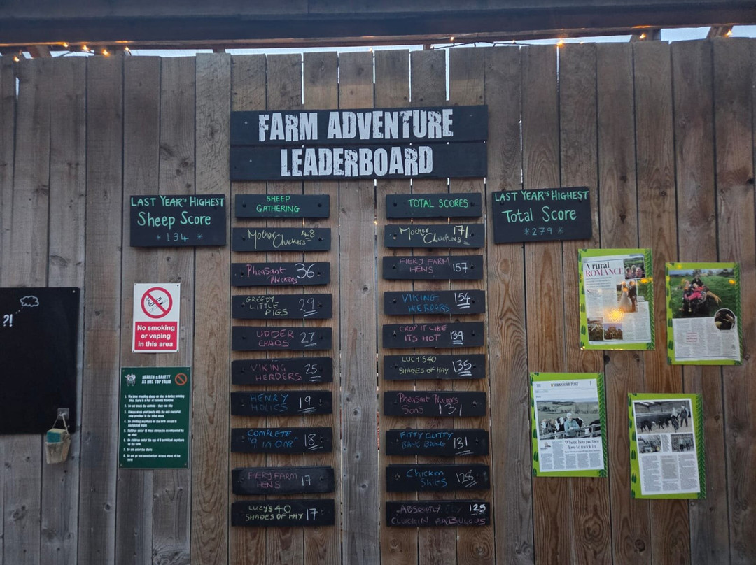 Farm Adventure Yorkshire-马沙姆必去景点