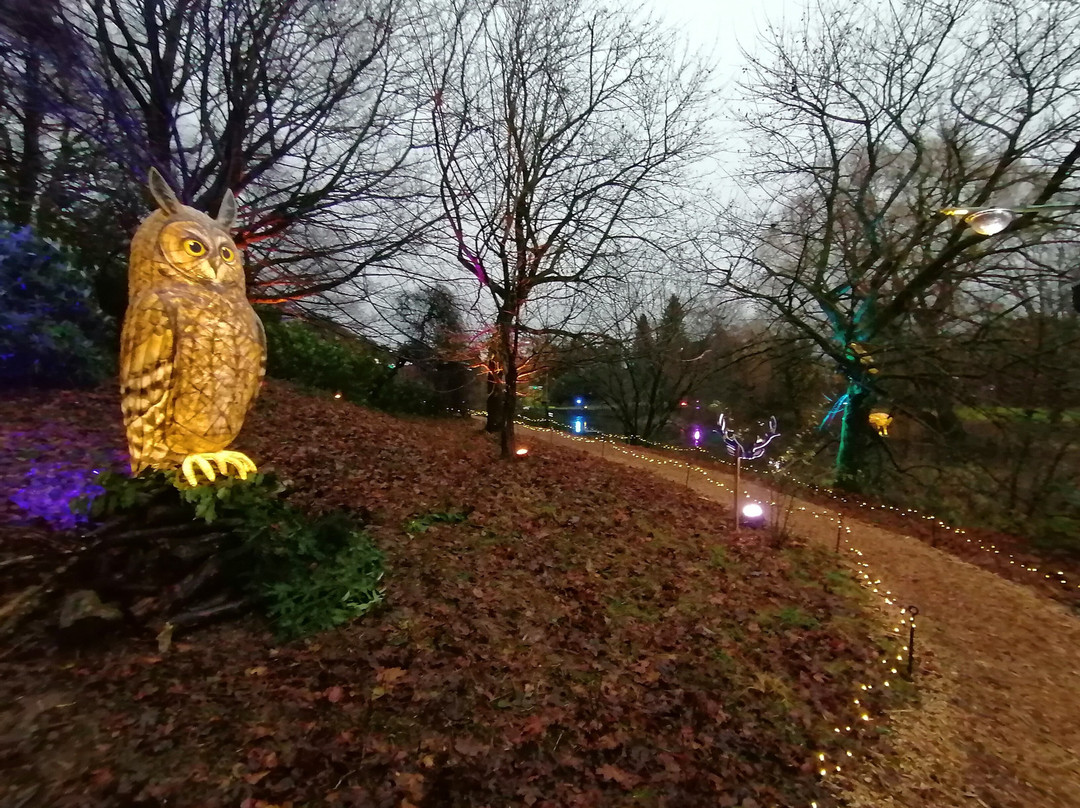 Sizergh Castle-肯德尔必去景点