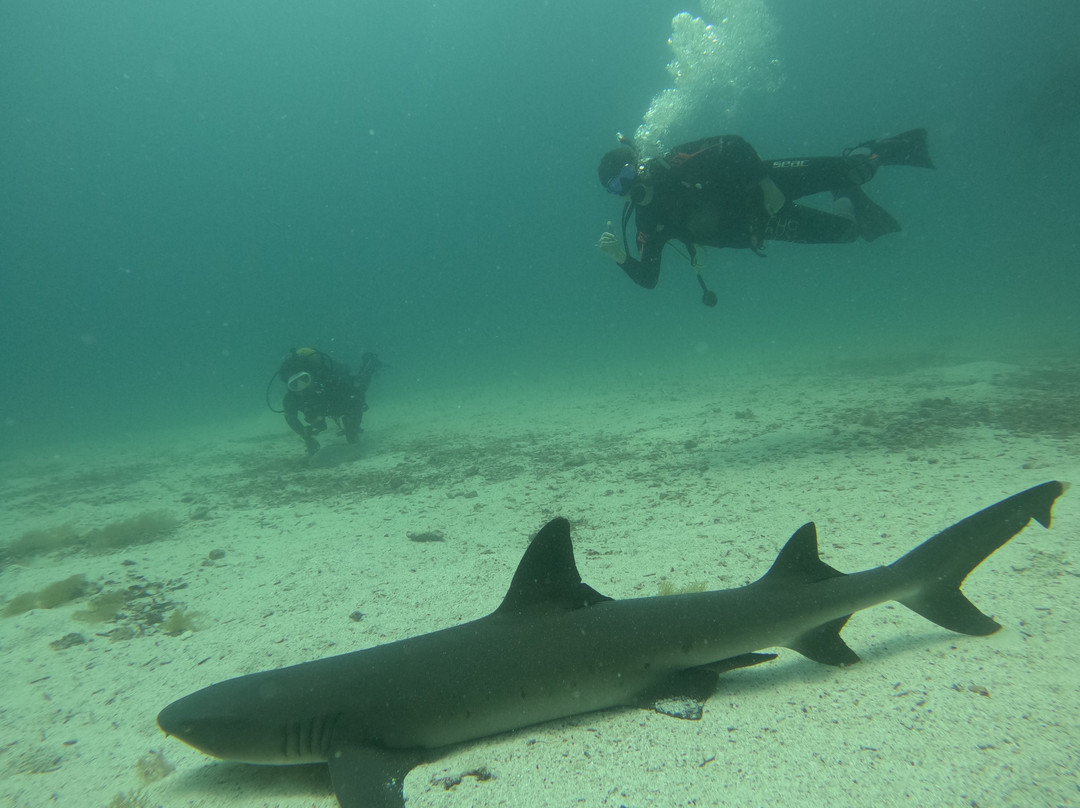 Galapagos by Local Guides-圣克鲁斯必去景点