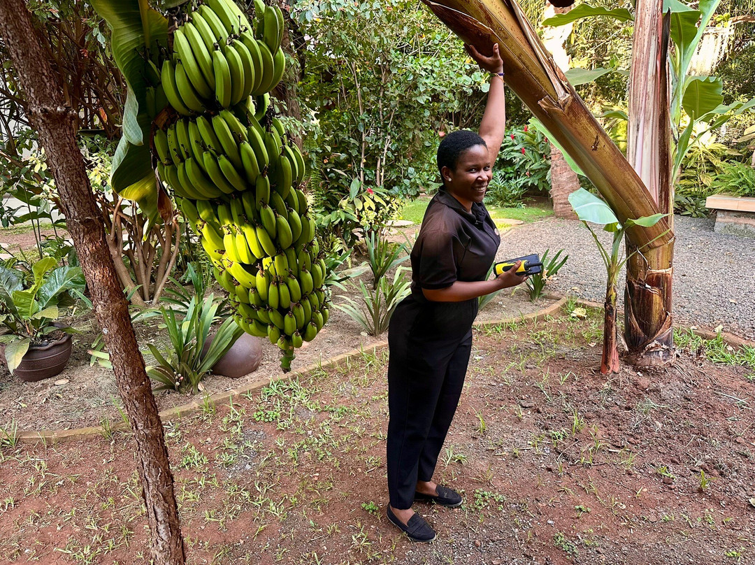 Tulivu Kilimanjaro Retreat