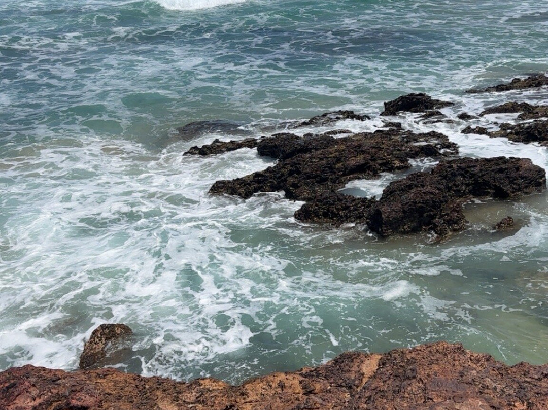 Forrest Caves-Newhaven必去景点