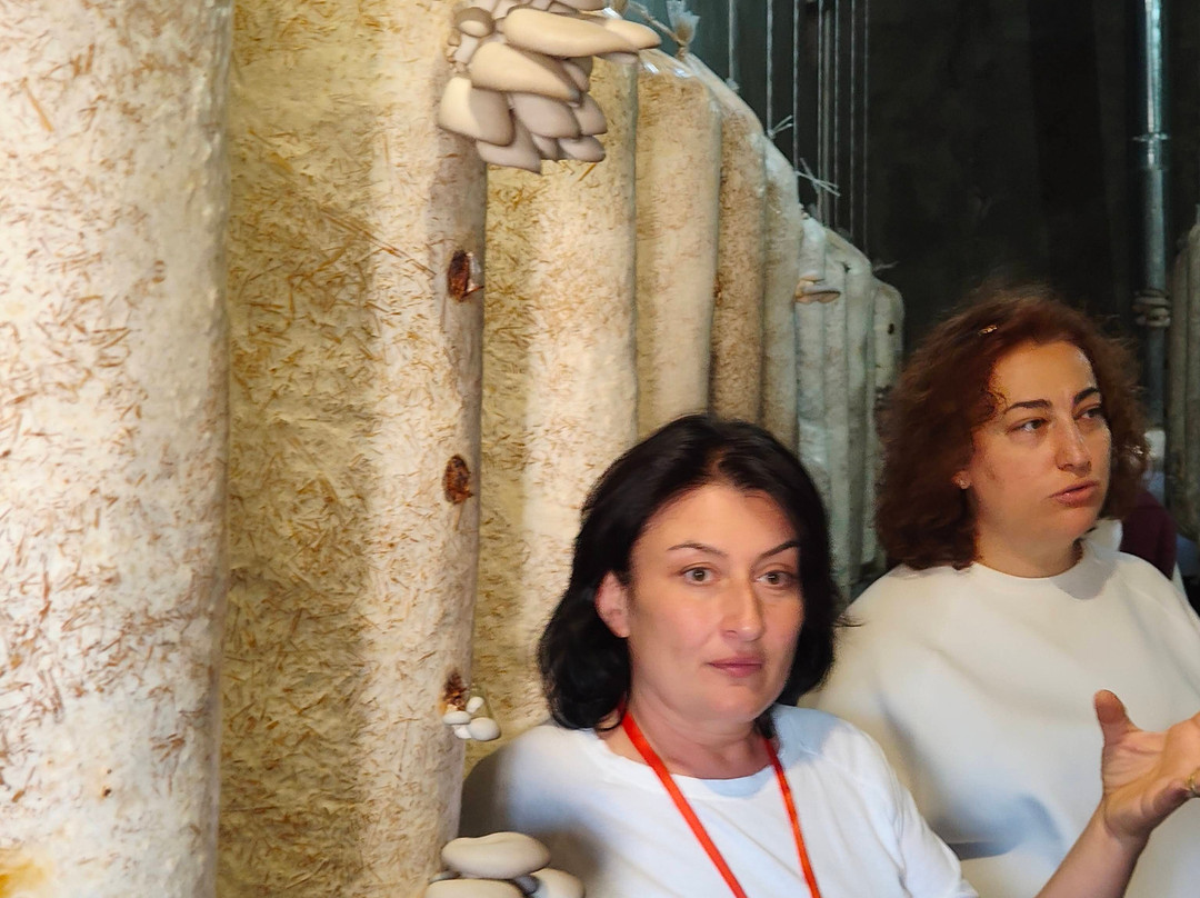 Hyur Service-埃里温必去景点