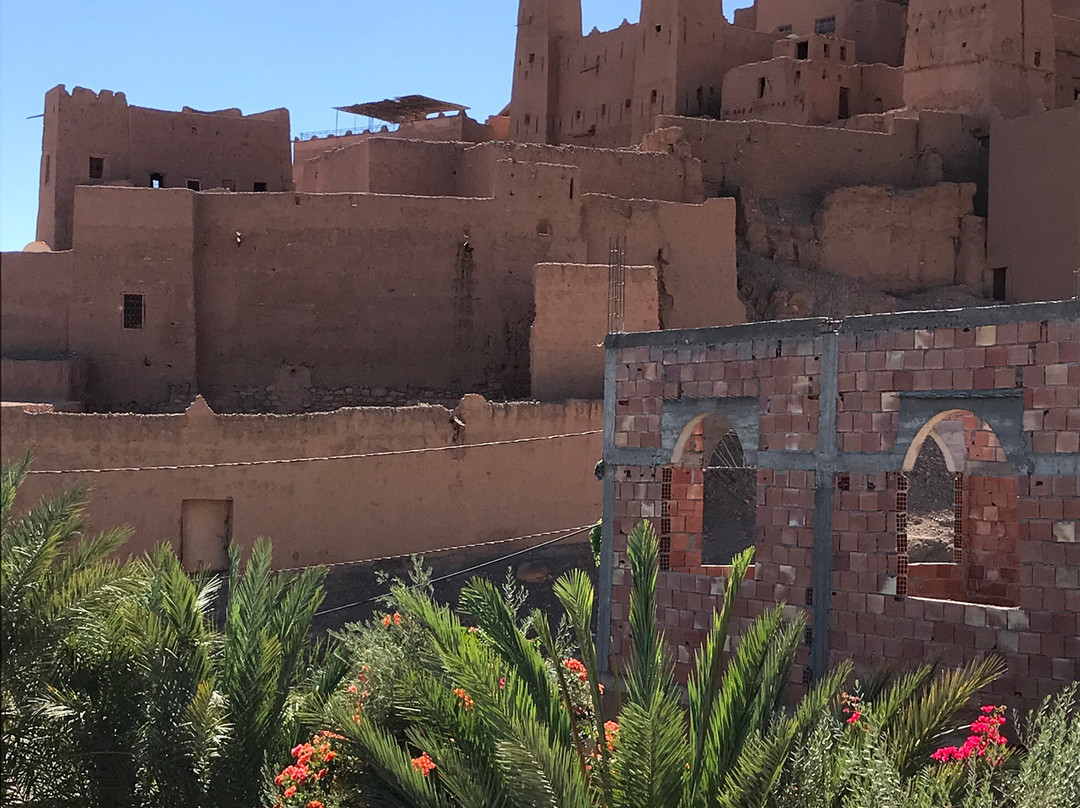 Mélodie du désert-迈哈米德必去景点