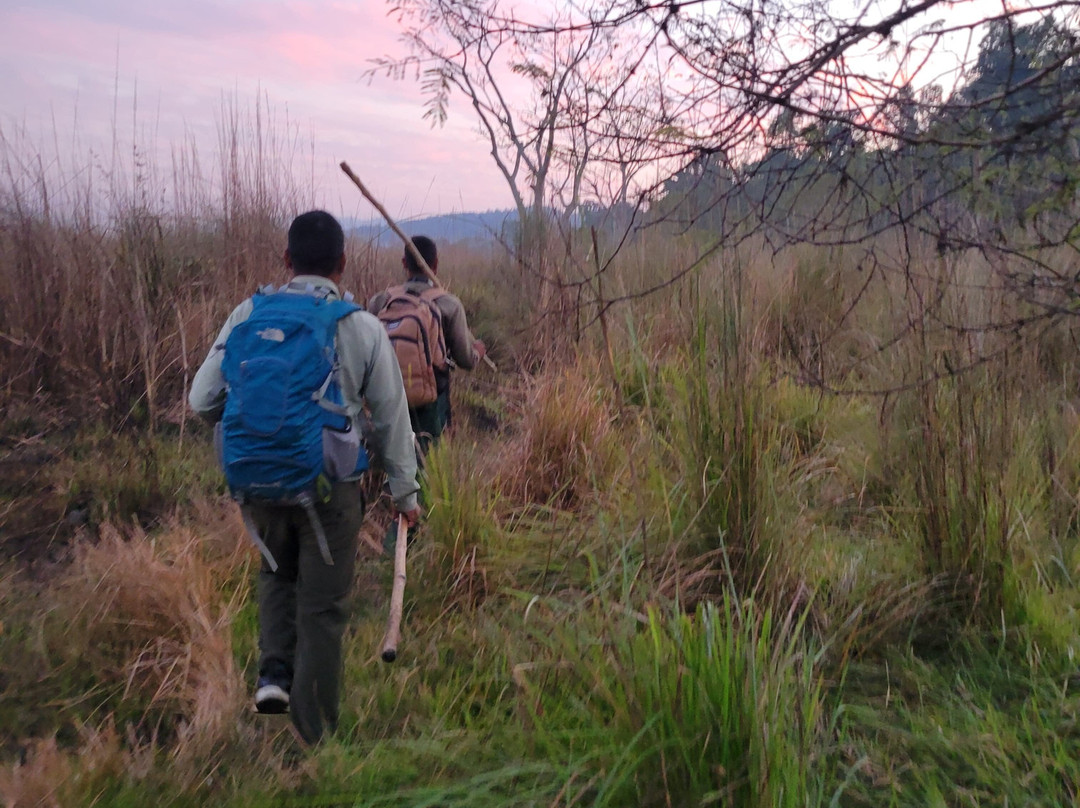 United Jungle Guide Service-奇旺国家公国必去景点