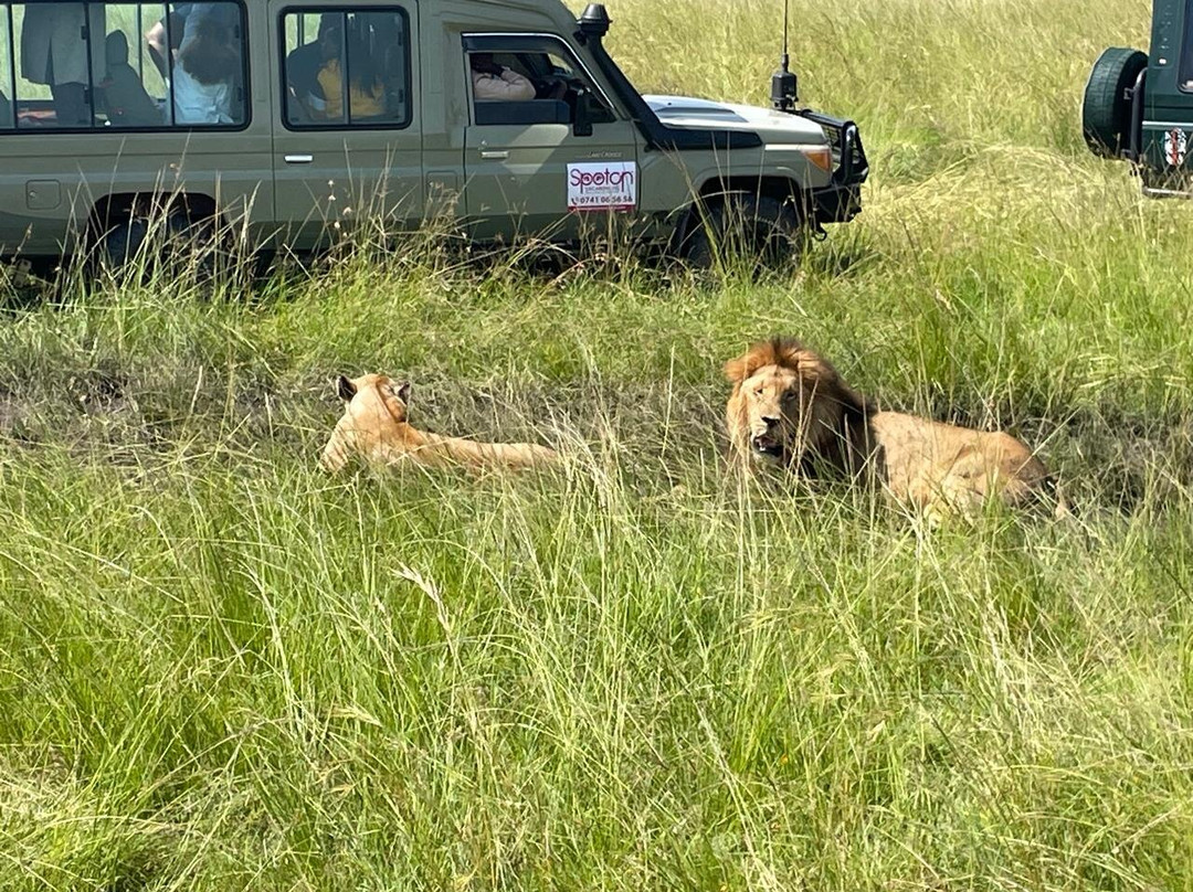 African Horizons-内罗毕必去景点