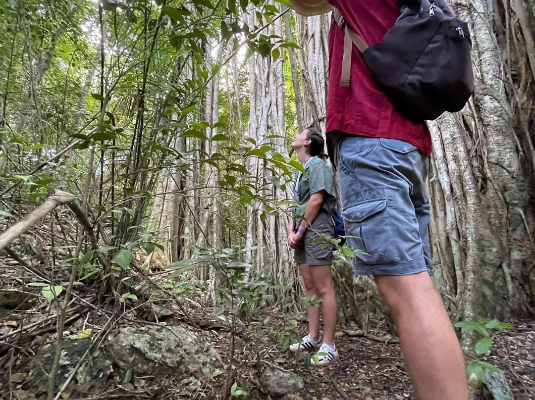 Calakmul Adventures day tours-Xpujil Town必去景点