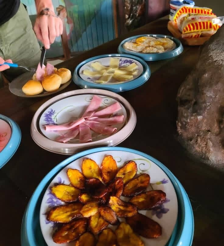 Amazon Brasil Jungle Tours-玛瑙斯必去景点