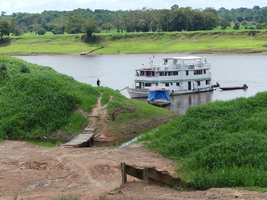 Amazon Green Tours-玛瑙斯必去景点