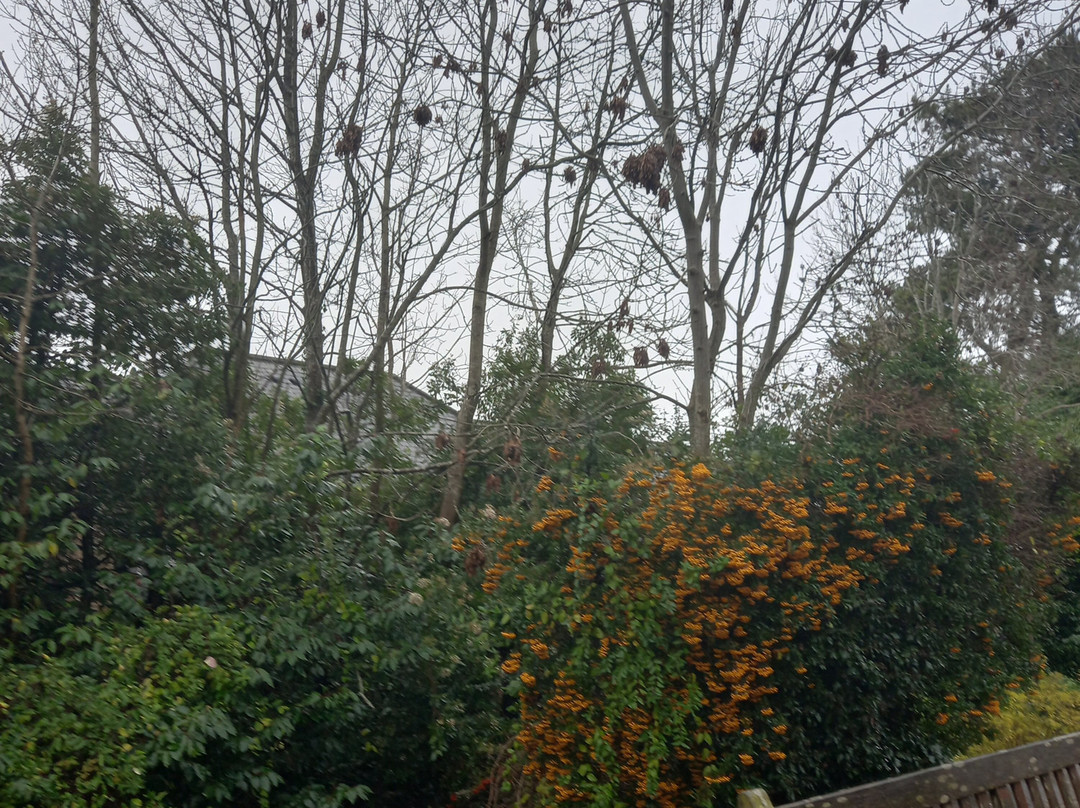 Argos Chesham In Sainsbury's