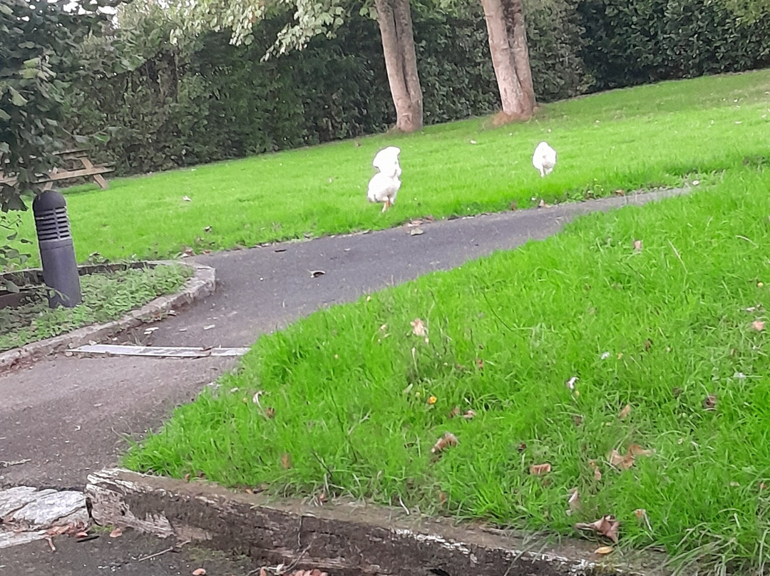 Auberge de la Maison Neuve主图