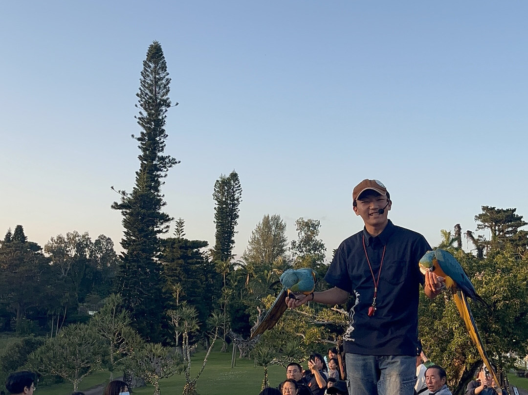 东南植物乐园-冲绳市必去景点