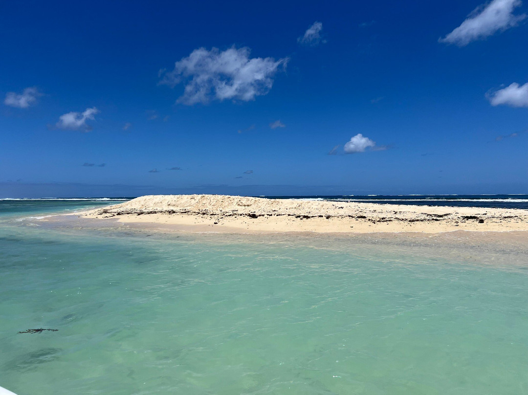 Dream Dolphin-黑河必去景点