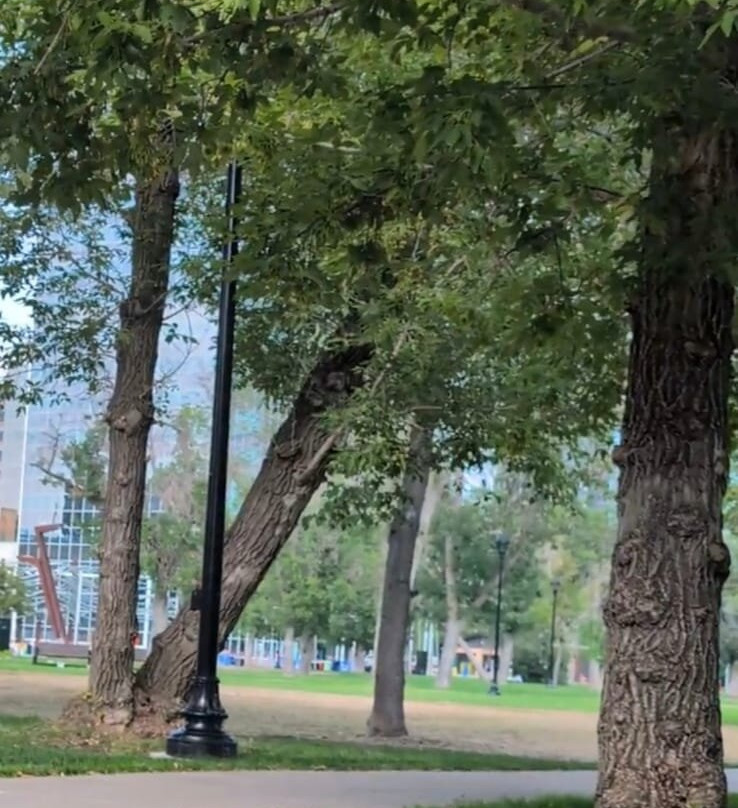 Victoria Park-里贾纳必去景点