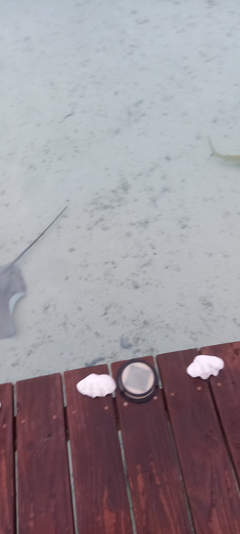 Pension Papahani-官方