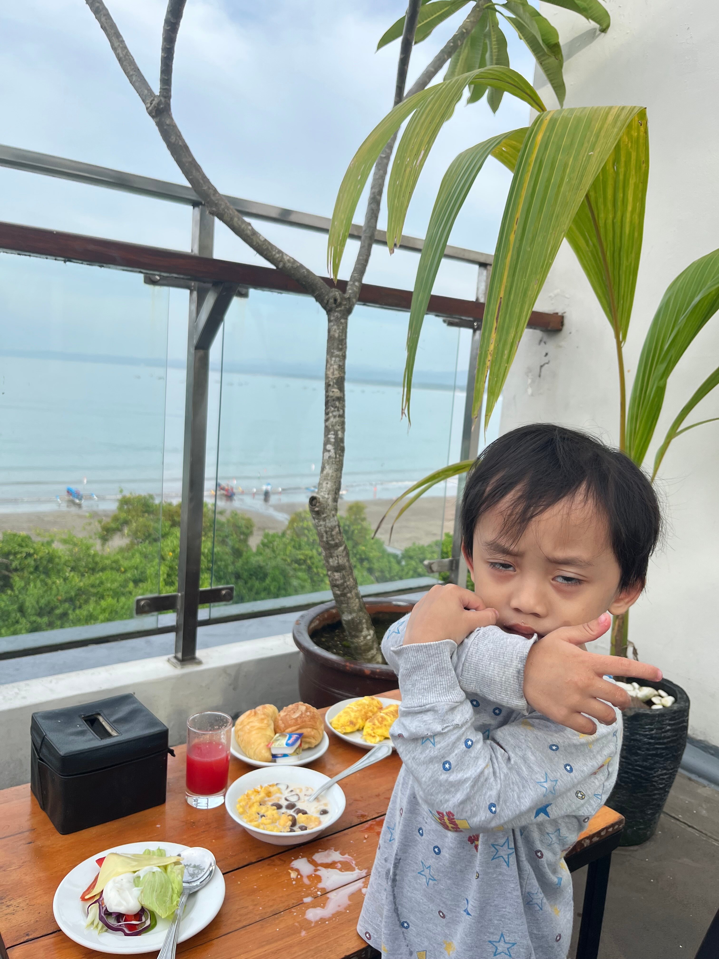 Horison Palma Pangandaran-官方