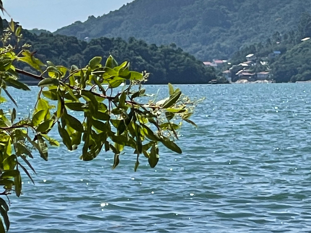 Praia Das Vieiras-Porto Belo必去景点