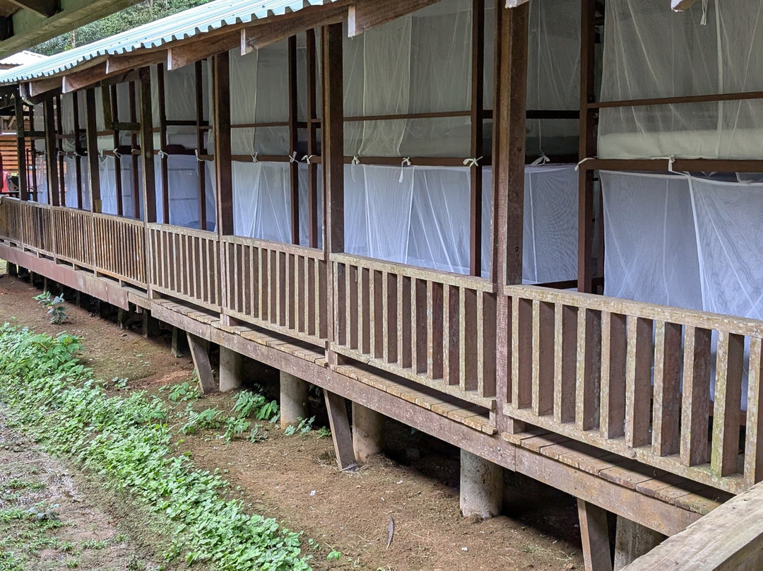 Sukia Travel-德雷克湾必去景点