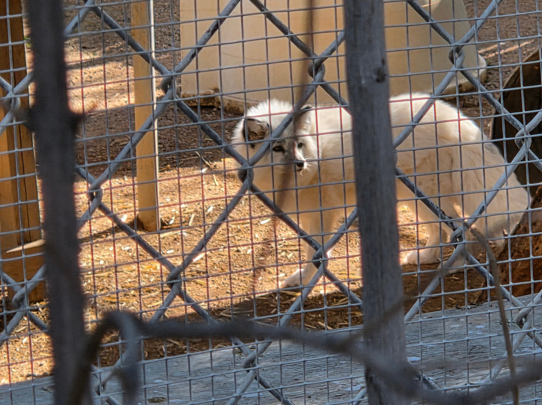 Southwest Wildlife Conservation Center-斯科茨代尔必去景点