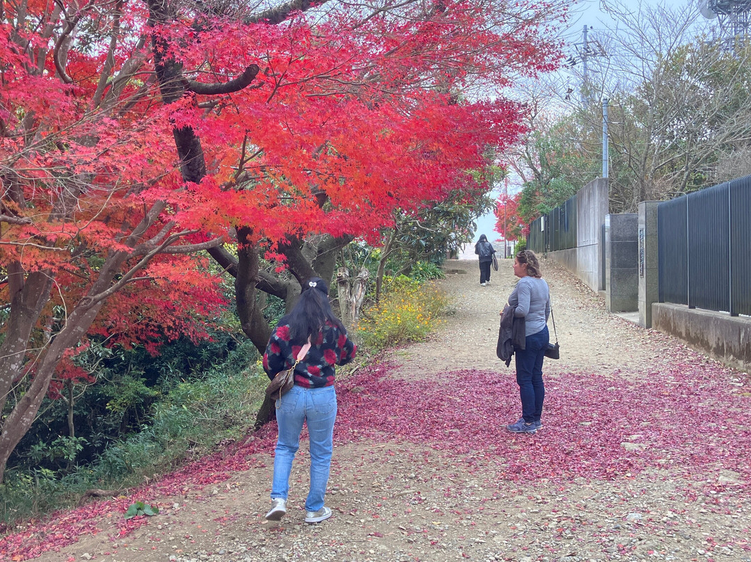 Bizan Ropeway-德岛市必去景点