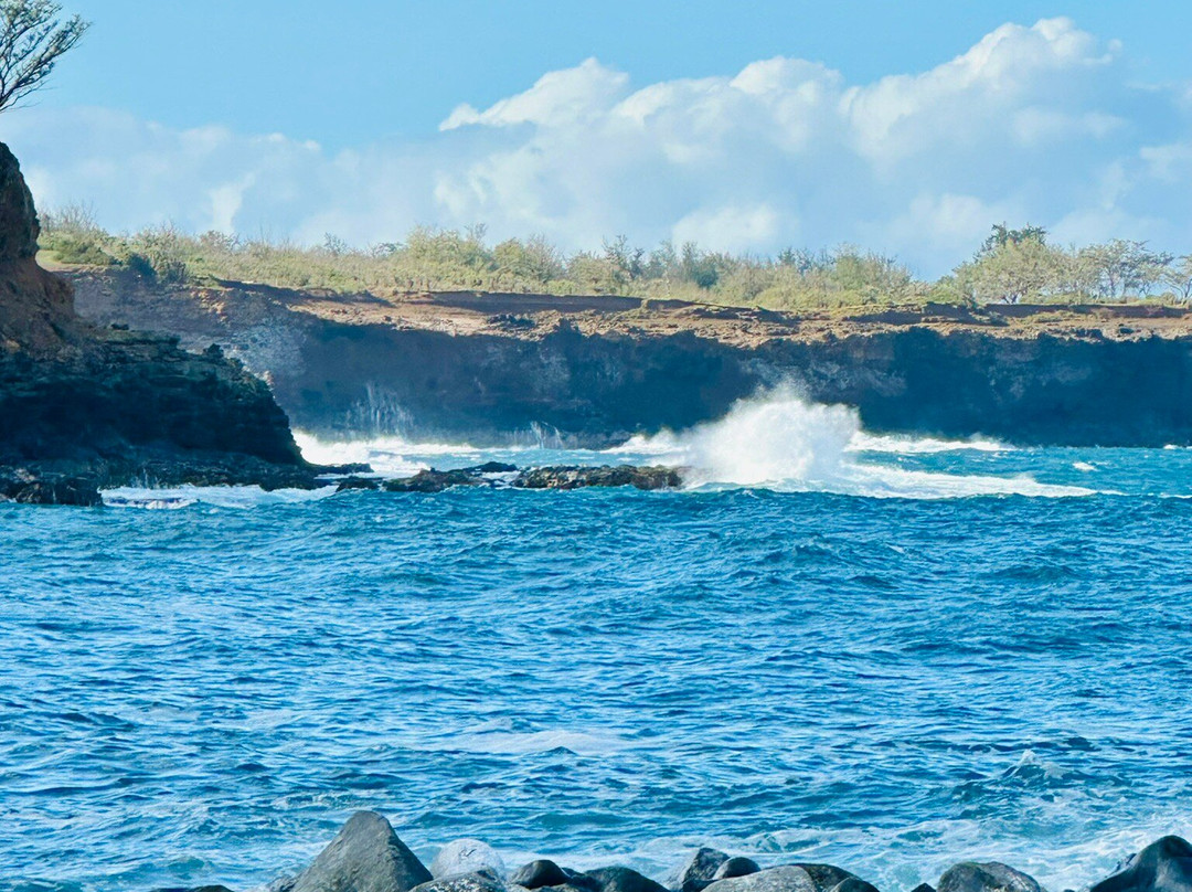 Keokea Beach Park-卡帕奥必去景点