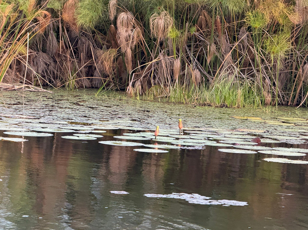 Gondwana Tours & Safaris-马翁必去景点