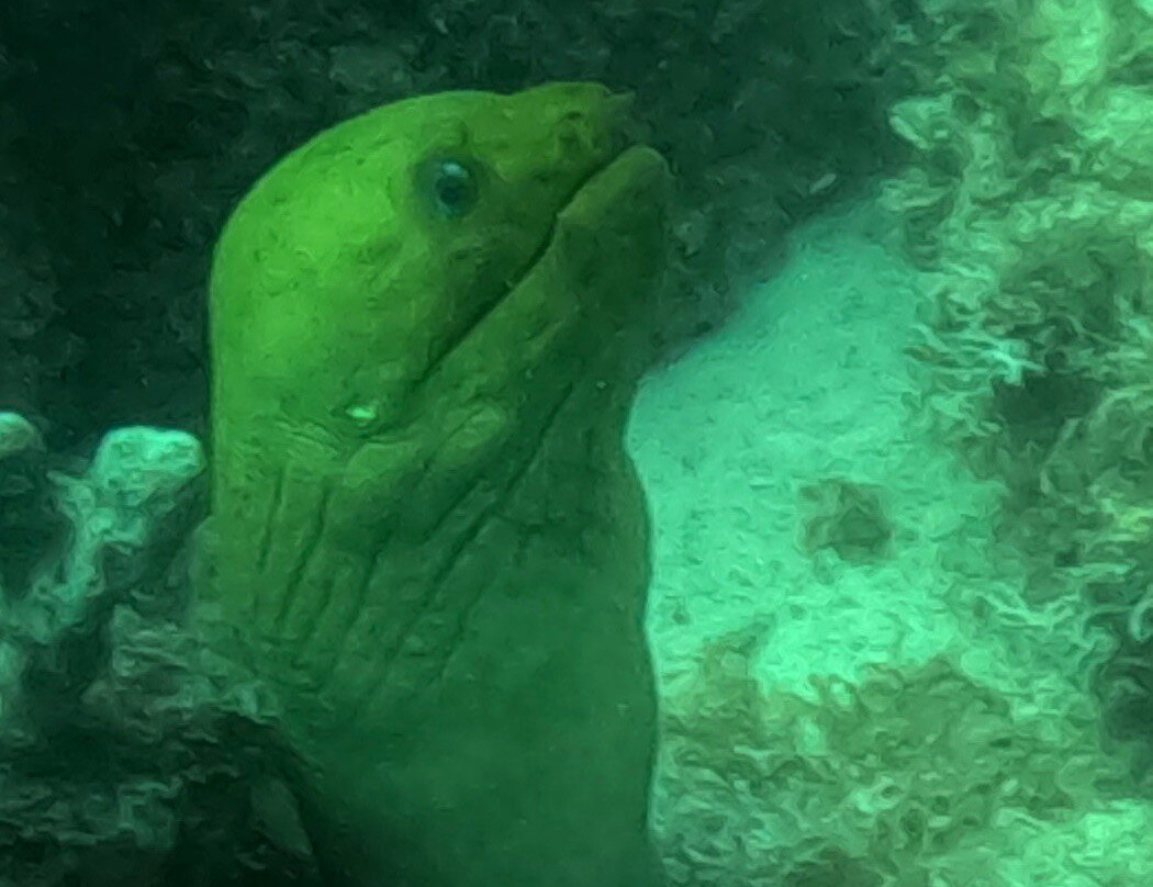 Palm Beach Divers-Noord必去景点