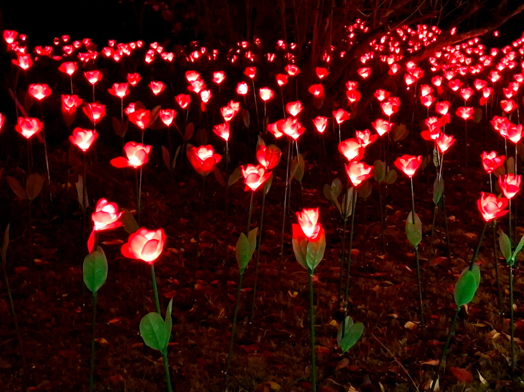 Light Up Trails-罗姆西必去景点