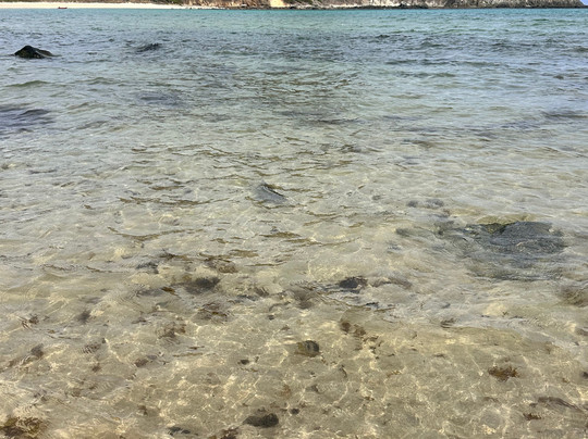 VIA-MAR Noronha - Passeios Turísticos e Hospedagens-费尔南多-迪诺罗尼亚群岛必去景点