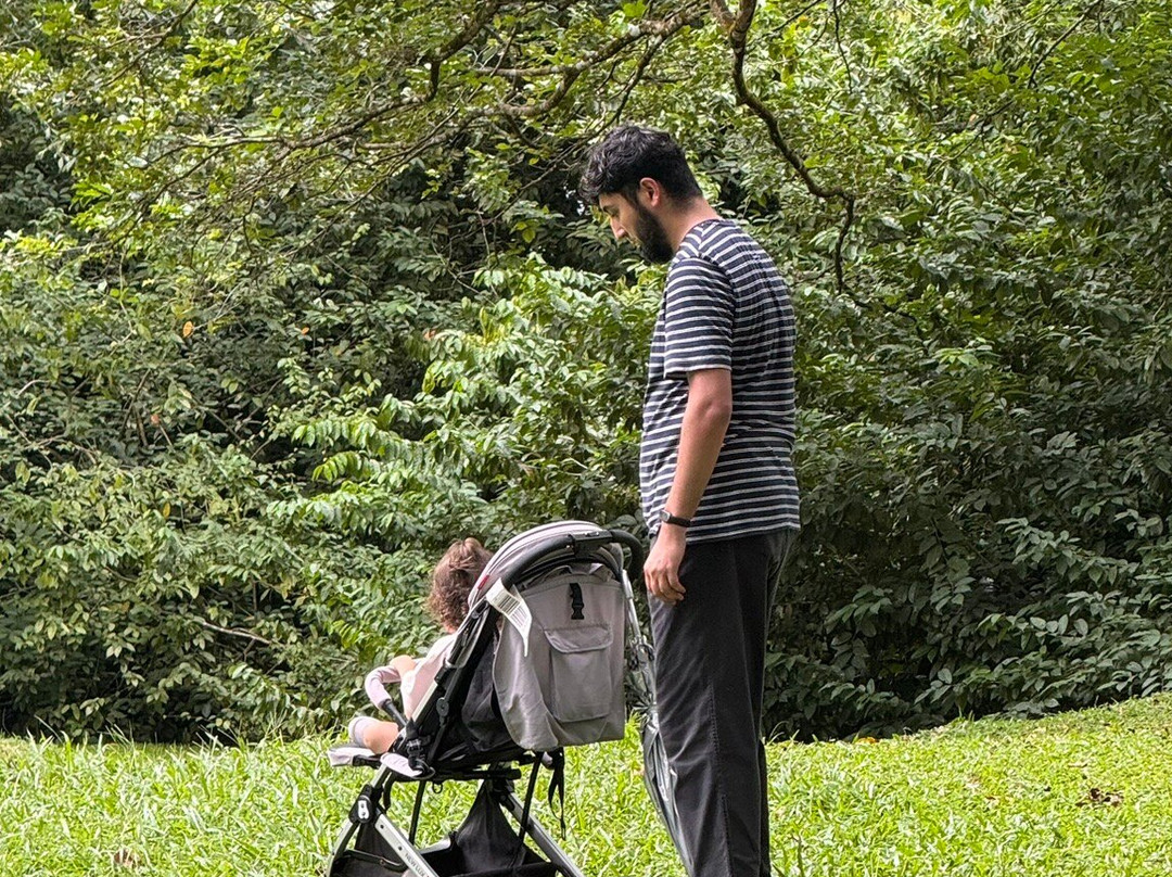 Taiping Lake Gardens-太平必去景点