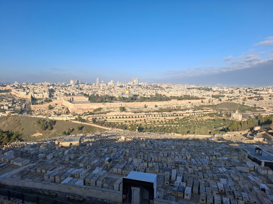 Nestor Feller Guia Profesional En Israel-特拉维夫必去景点